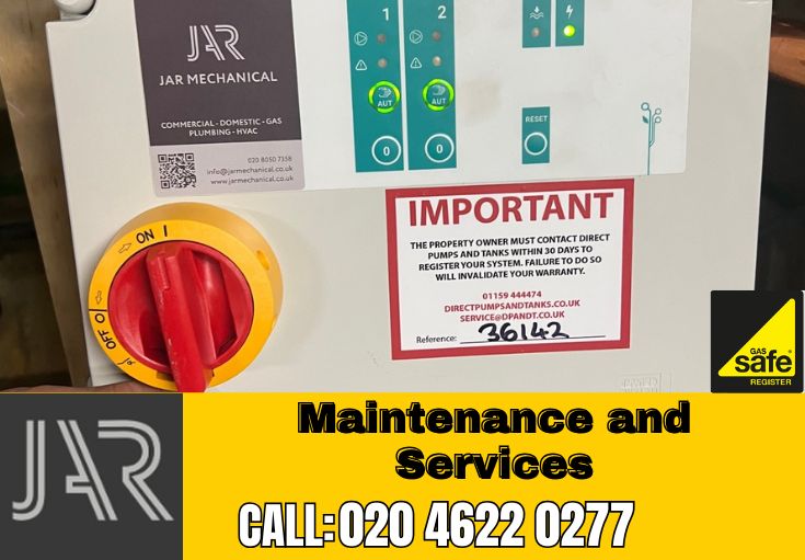 Domestic Maintenance and Services Tulse Hill